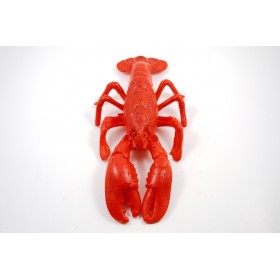 Lobster Medium